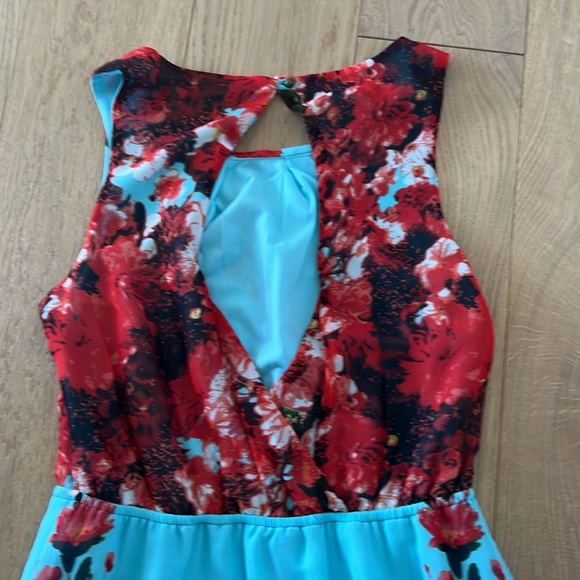 Dex Cherry Blossom Dress Small - Picture 4 of 4